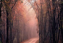 28国际官网:霹雳高手“战”山城.