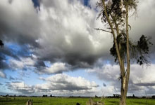 28国际官网:队报:A-勒布伦右手小指骨折,植入钢钉帮助第五掌骨愈合.