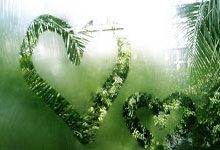 [国际足球]澳大利亚U20队继续领跑A组.