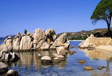 体坛名场面|朱婷这一球有多匪夷所思对方全员看傻眼,被各国教练反复研究.